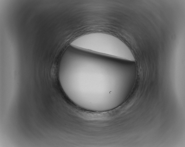 X0000112070036200908040959
