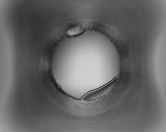 X0000112070039200908040959