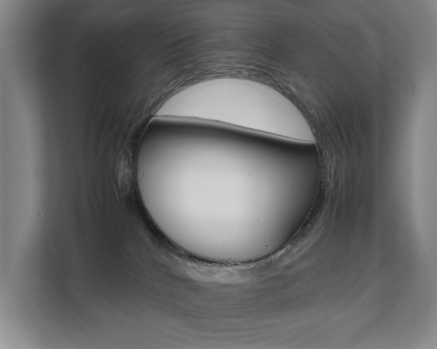 X0000112070040200908040959