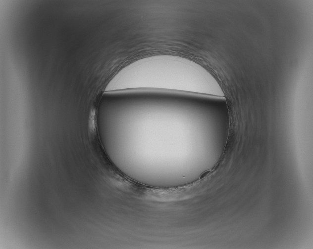 X0000112070041200908040959