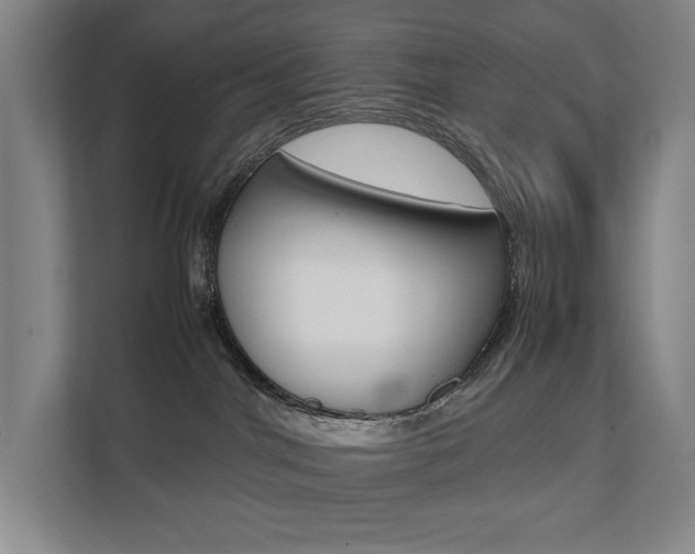 X0000112070044200908040959