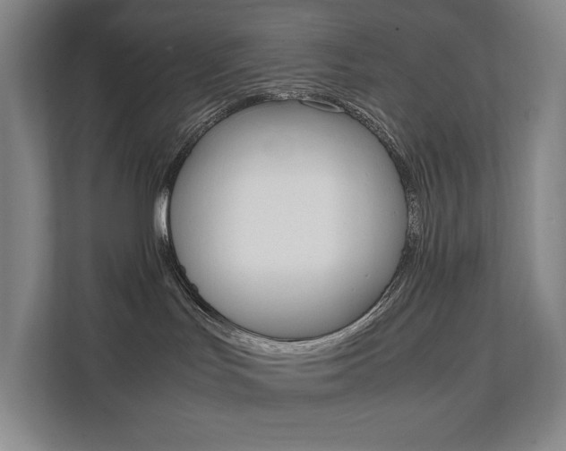 X0000112070047200908040959