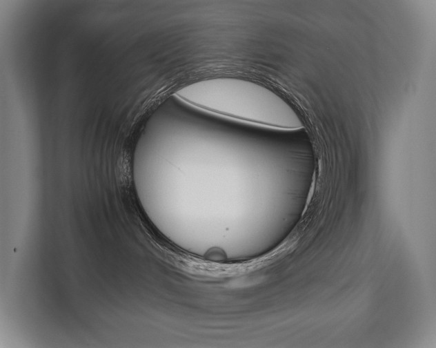 X0000112070048200908040959