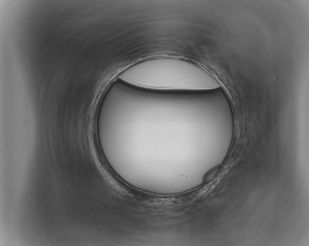 X0000112070049200908040958