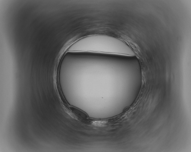 X0000112070051200908040959