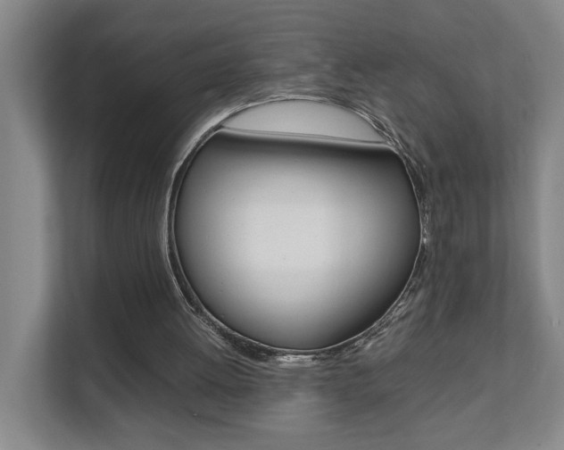 X0000112070052200908040959