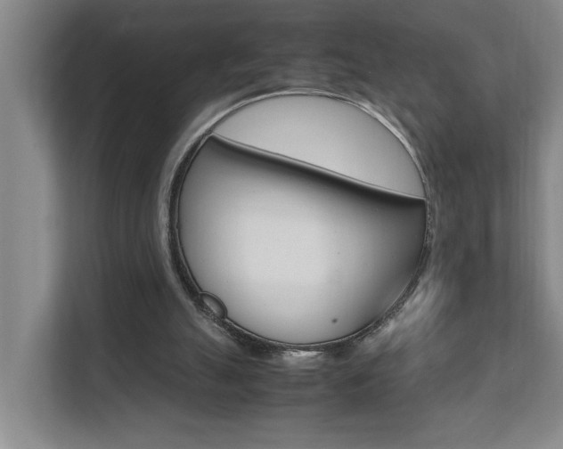 X0000112070055200908040959