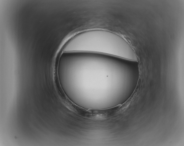 X0000112070056200908040959