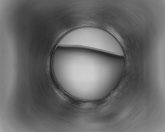 X0000112070058200908040959