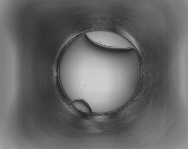 X0000112070059200908040959