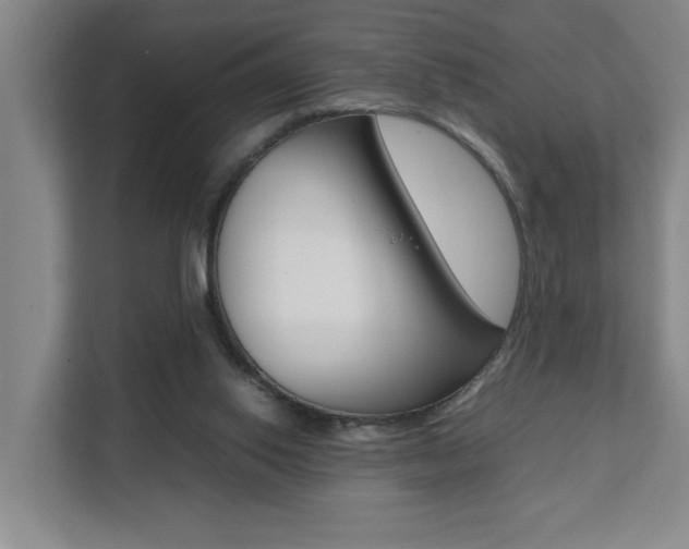 X0000112070062200908040959
