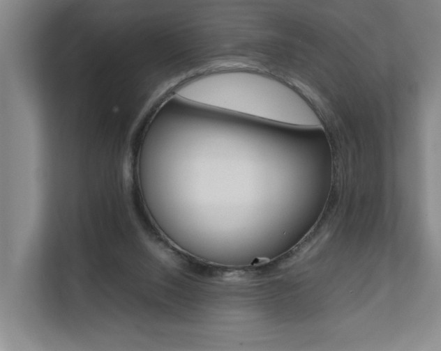 X0000112070064200908040959