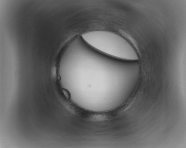 X0000112070067200908040959