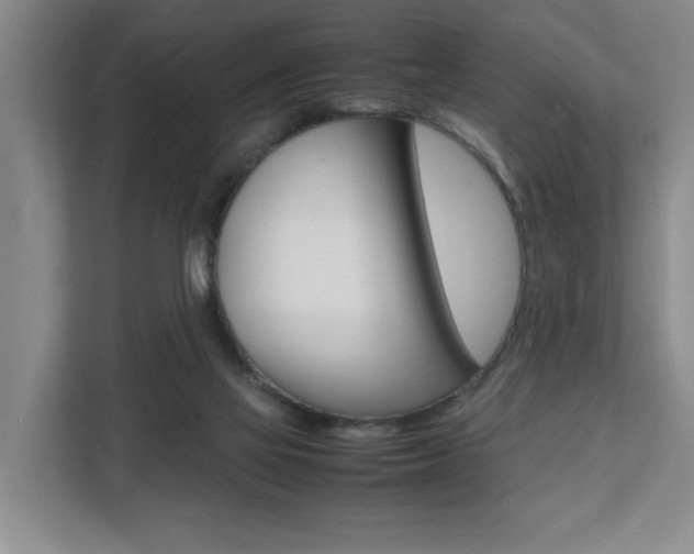 X0000112070069200908040959