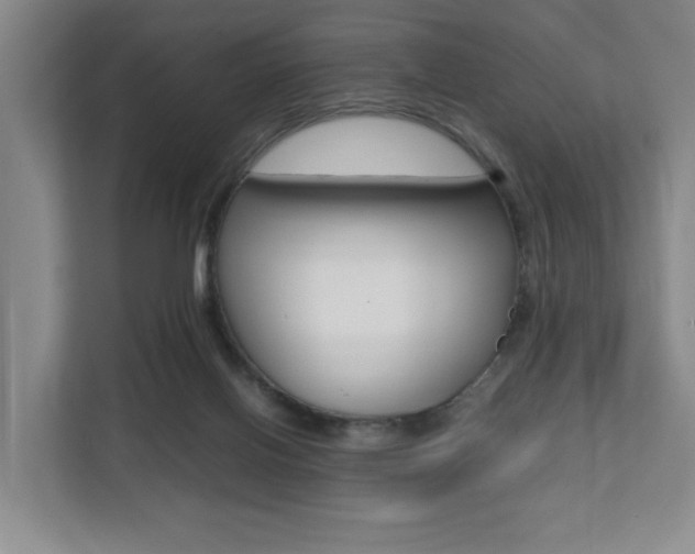X0000112070070200908040959