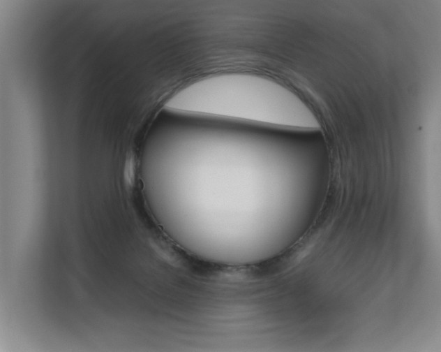 X0000112070076200908040959