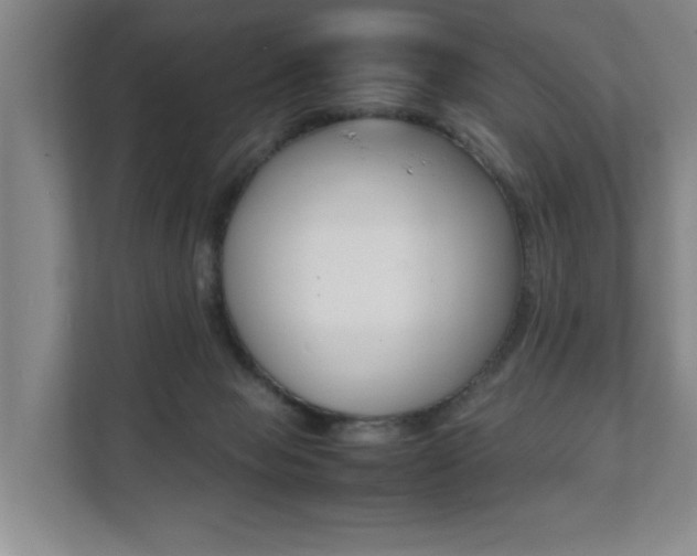 X0000112070077200908040959
