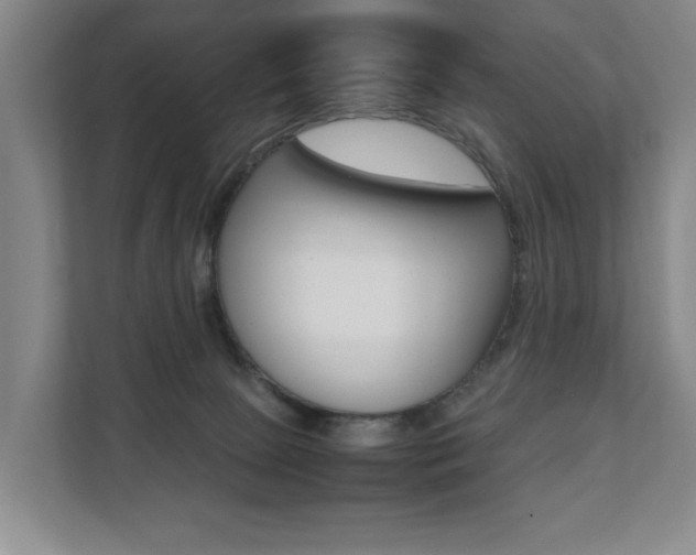X0000112070081200908040959