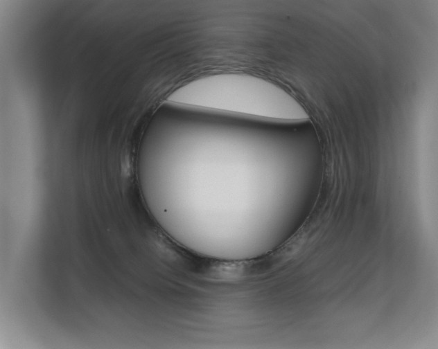 X0000112070084200908040959