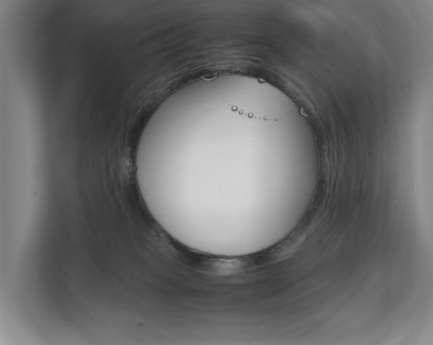 X0000112070085200908040959