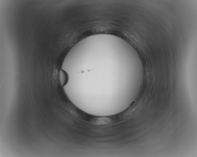 X0000112070087200908040959