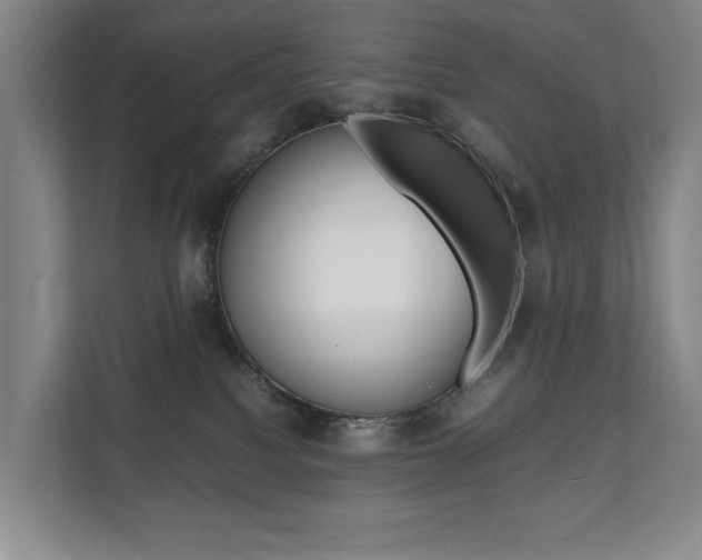X0000112070088200908040959