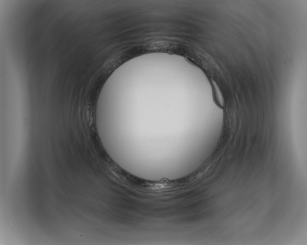 X0000112070091200908040959