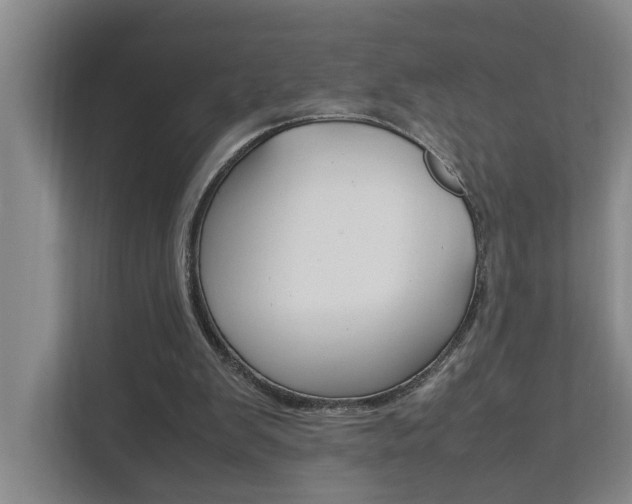 X0000112070103200908040958