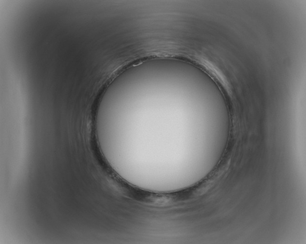 X0000112070113200908040958