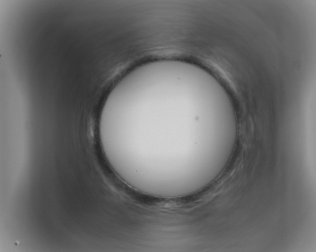 X0000112070115200908040958