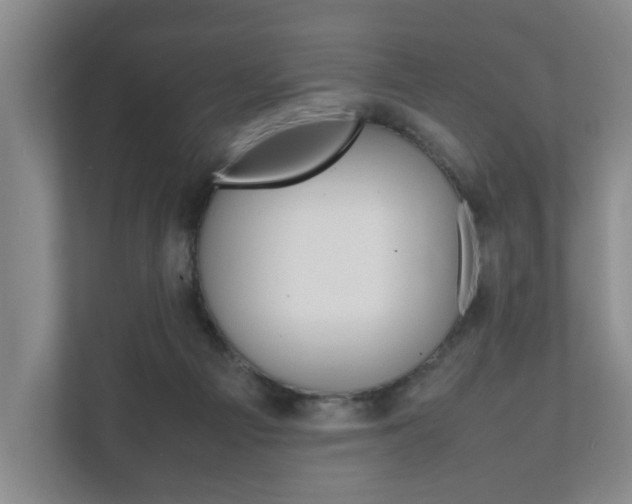 X0000112070121200908040958