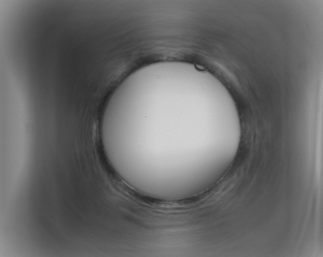 X0000112070123200908040958