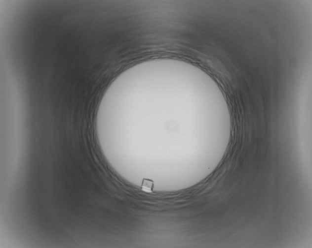 X0000112070129200908040958