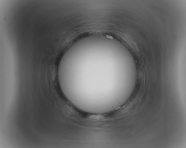 X0000112070133200908040958