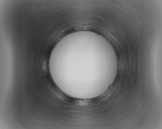 X0000112070134200908040958
