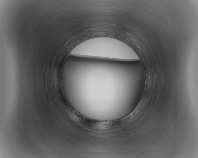 X0000112070136200908040958