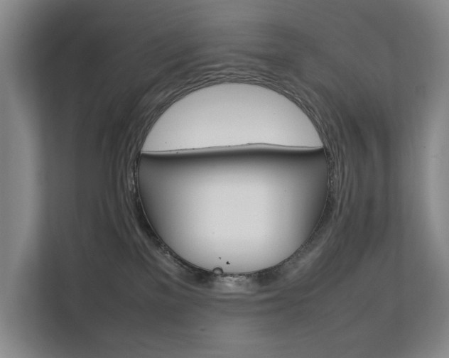X0000112070137200908040958