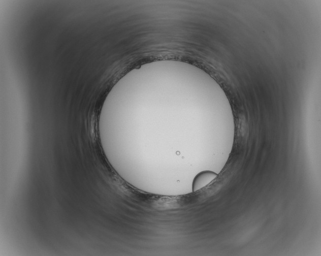 X0000112070138200908040958