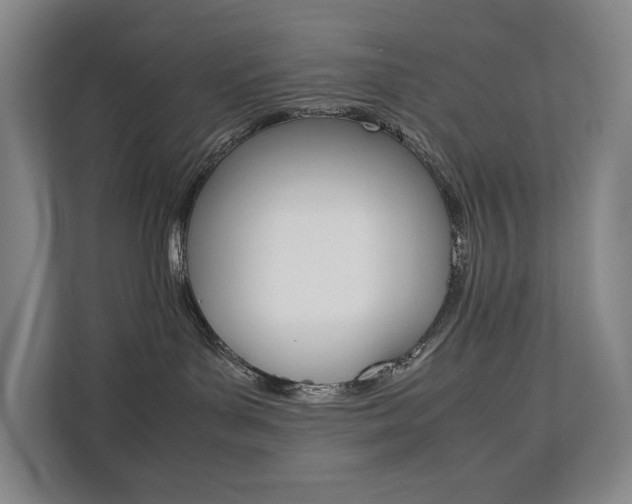 X0000112070143200908040958
