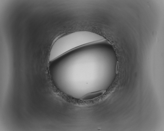 X0000112070144200908040958