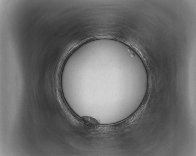 X0000112070145200908040957