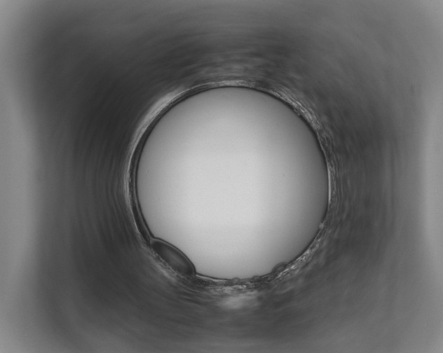 X0000112070147200908040957
