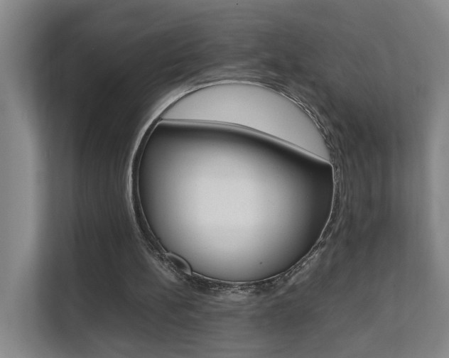 X0000112070148200908040957