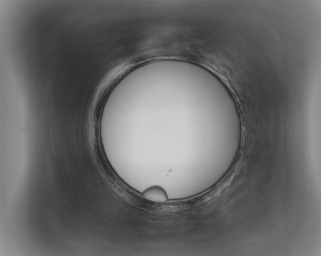 X0000112070149200908040957