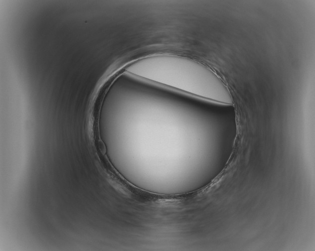 X0000112070150200908040957