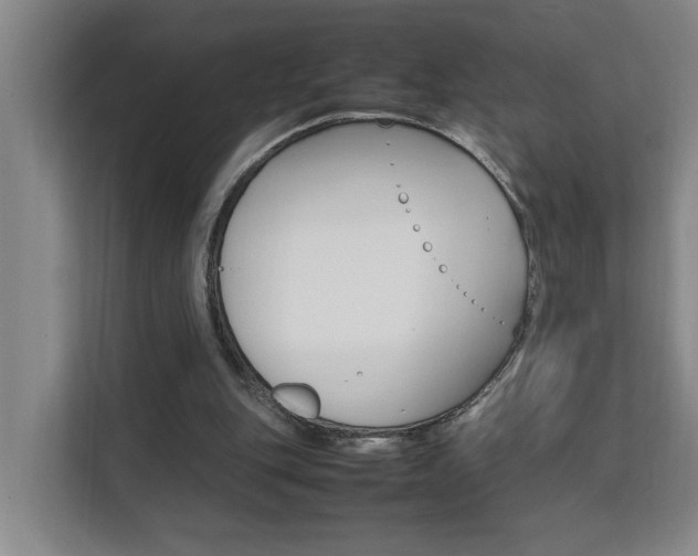 X0000112070151200908040957