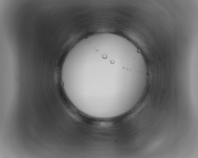 X0000112070165200908040958