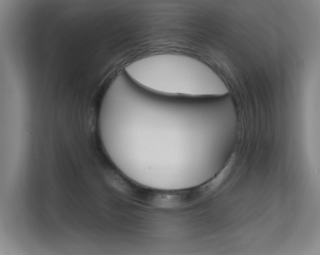 X0000112070174200908040958