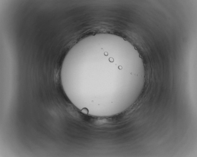 X0000112070177200908040958