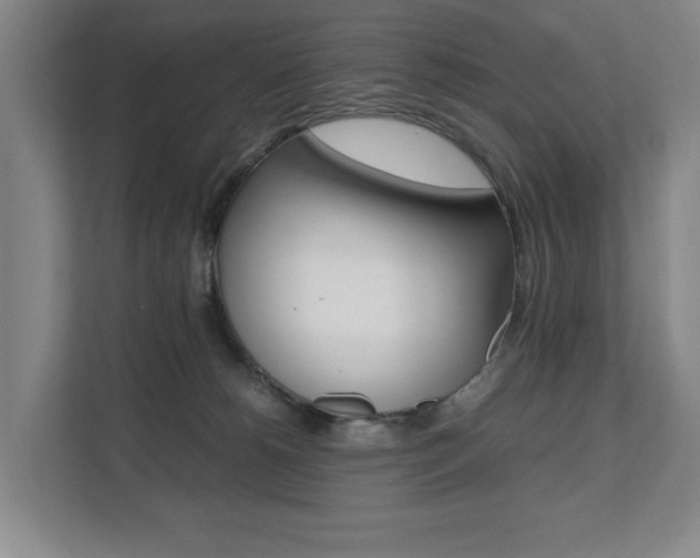 X0000112070180200908040958